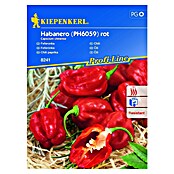 Kiepenkerl Sjeme povrća paprika Habanero, crvena  (Capscium chinense, Berba: Kolovoz) | BAUHAUS