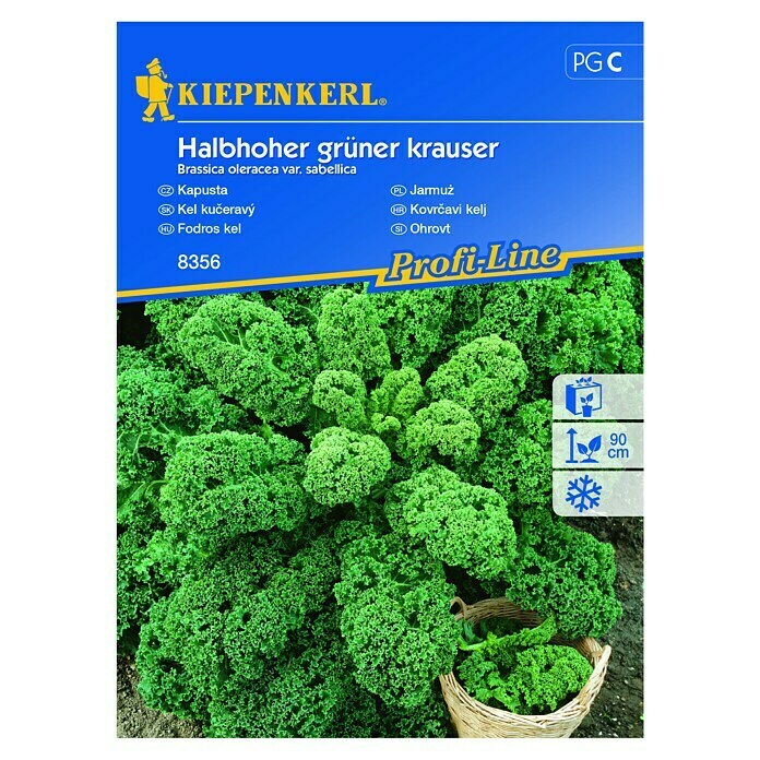 Kiepenkerl Sjeme povrća Kovrčavi kelj  (Brassica oleracea var. sabellica, Berba: Listopad) | BAUHAUS