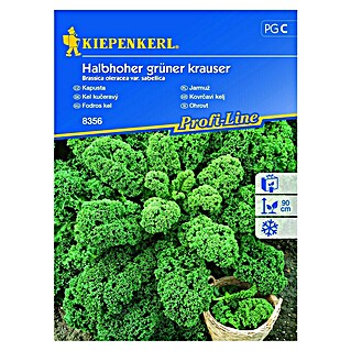 Kiepenkerl Zelenjavna semena Ohrovt (Brassica oleracea var. sabellica, Čas žetve: Oktober)