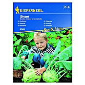 Kiepenkerl Zelenjavna semena Koleraba Gigant  (Brassica oleracea var. gongylodes, Čas žetve: Junij) | 8127 - Feinsämereien in PG Marke | IBYA - Sämereien | IBY - Sämereien | IB - Grünpflanzen/Sämereien | I - Stadtgarten | BAUHAUS