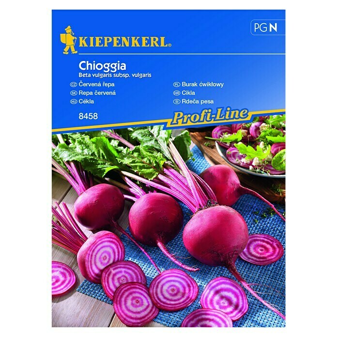 Kiepenkerl Sjeme povrća Cikla Chioggia  (Beta vulgaris subsp. vulgaris, Berba: Kolovoz) | BAUHAUS