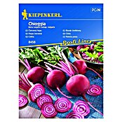 Kiepenkerl Sjeme povrća Cikla Chioggia  (Beta vulgaris subsp. vulgaris, Berba: Kolovoz) | BAUHAUS