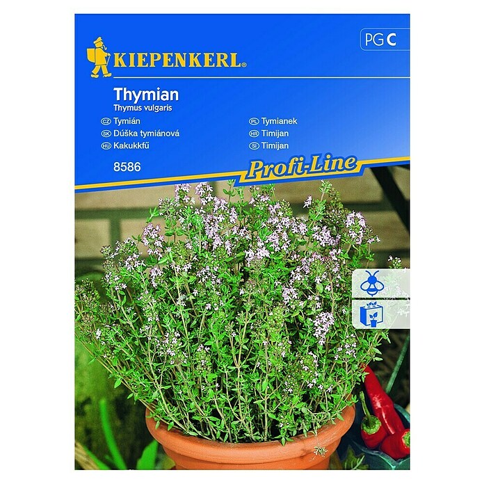 Kiepenkerl Zeliščna semena Timijan  (Thymus vulgaris, Čas setve: Februar, Čas žetve: Vse leto) | 8127 - Feinsämereien in PG Marke | IBYA - Sämereien | IBY - Sämereien | IB - Grünpflanzen/Sämereien | I - Stadtgarten | BAUHAUS