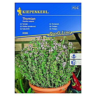 Kiepenkerl Zeliščna semena Timijan (Thymus vulgaris, Čas setve: Februar, Čas žetve: Vse leto)