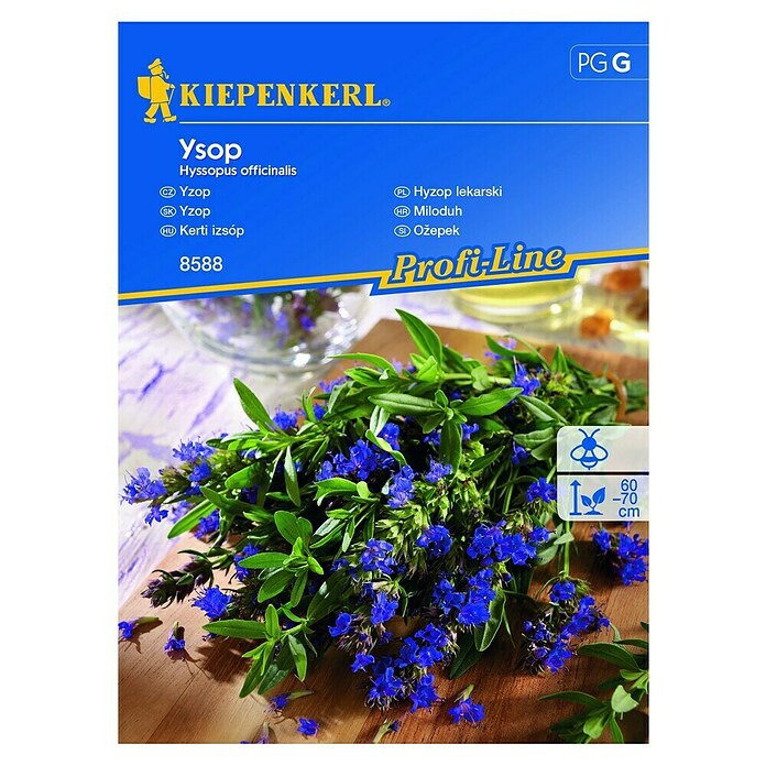 Kiepenkerl Sjeme začinskog bilja Miloduh  (Hyssopus officinalis, Vrijeme sjetve: Ožujak, Berba: Svibanj) | BAUHAUS