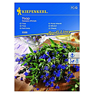 Kiepenkerl Zeliščna semena Ožepek (Hyssopus officinalis, Čas setve: Marec, Čas žetve: Maj)