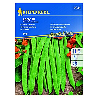 Kiepenkerl Sjeme povrća grah Lady Di (Phaseolus coccineus, Vrijeme sjetve: Svibanj, Berba: Kolovoz)