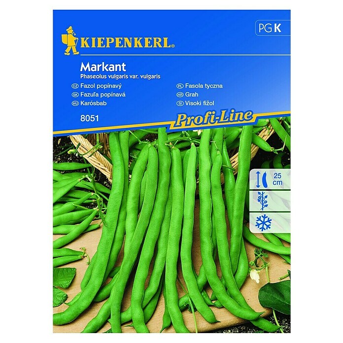 Kiepenkerl Zelenjavna semena Stročji fižol Markant  (Phaseolus vulgaris var. vulgaris, Čas žetve: Julij) | 8127 - Feinsämereien in PG Marke | IBYA - Sämereien | IBY - Sämereien | IB - Grünpflanzen/Sämereien | I - Stadtgarten | BAUHAUS