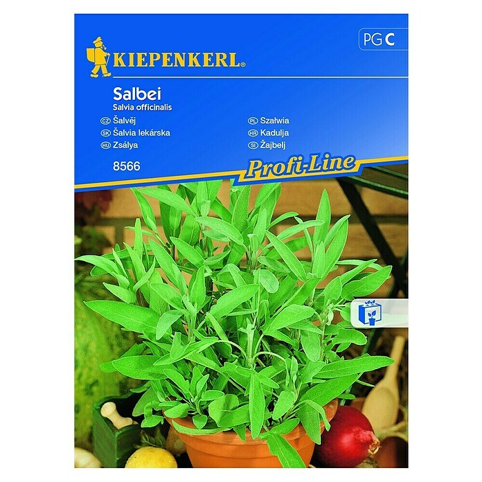 Kiepenkerl Profi-Line Zeliščna semena Žajbelj  (Salvia officinalis, Čas setve: Marec, Čas žetve: Maj) | 8127 - Feinsämereien in PG Marke | IBYA - Sämereien | IBY - Sämereien | IB - Grünpflanzen/Sämereien | I - Stadtgarten | BAUHAUS