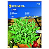 Kiepenkerl Profi-Line Zeliščna semena Žajbelj  (Salvia officinalis, Čas setve: Marec, Čas žetve: Maj) | 8127 - Feinsämereien in PG Marke | IBYA - Sämereien | IBY - Sämereien | IB - Grünpflanzen/Sämereien | I - Stadtgarten | BAUHAUS