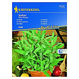 Kiepenkerl Profi-Line Zeliščna semena Žajbelj (Salvia officinalis, Čas setve: Marec, Čas žetve: Maj)