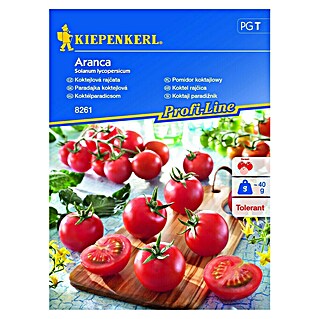 Kiepenkerl Sjeme povrća rajčica Aranca (Solanum lycopersicum, Berba: Srpanj)
