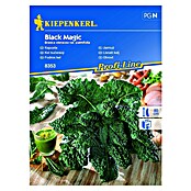 Kiepenkerl Profi-Line Sjeme povrća Kelj Black Magic  (Brasica oleracea var. palmifolia, Berba: Lipanj) | BAUHAUS