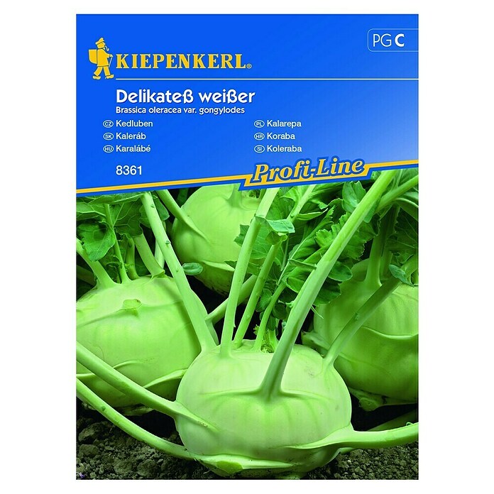 Kiepenkerl Sjeme povrća Koraba Delikateß weißer  (Brassica oleracea var. gongylodes, Berba: Lipanj) | BAUHAUS