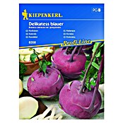 Kiepenkerl Profi-Line Sjeme povrća Koraba Delikatess Blauer  (Brassica oleracea var. gongylodes, Berba: Lipanj) | BAUHAUS