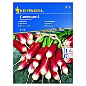 Kiepenkerl Profi-Line Sjeme povrća Flamboyant 2  (Raphanus sativus, Berba: Travanj, 8 m²) | BAUHAUS