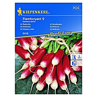 Kiepenkerl Profi-Line Sjeme povrća Flamboyant 2 (Raphanus sativus, Berba: Travanj, 8 m²)
