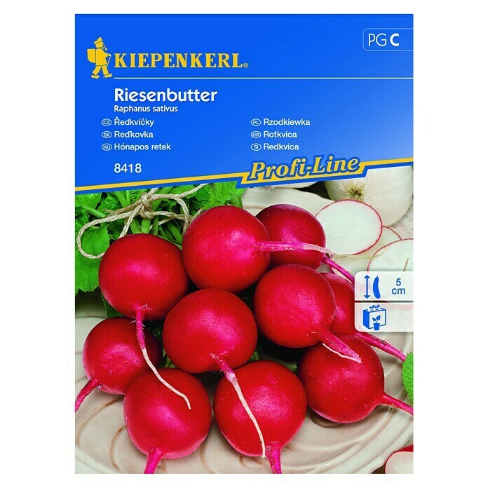 Kiepenkerl Profi-Line Sjeme povrća Rotkvica Riesenbutter  (Raphanus sativus, Berba: Lipanj, 10 m²) | BAUHAUS