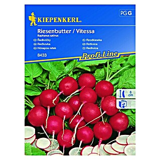 Kiepenkerl Profi-Line Zelenjavna semena (Čas žetve: Junij, 10 m²)