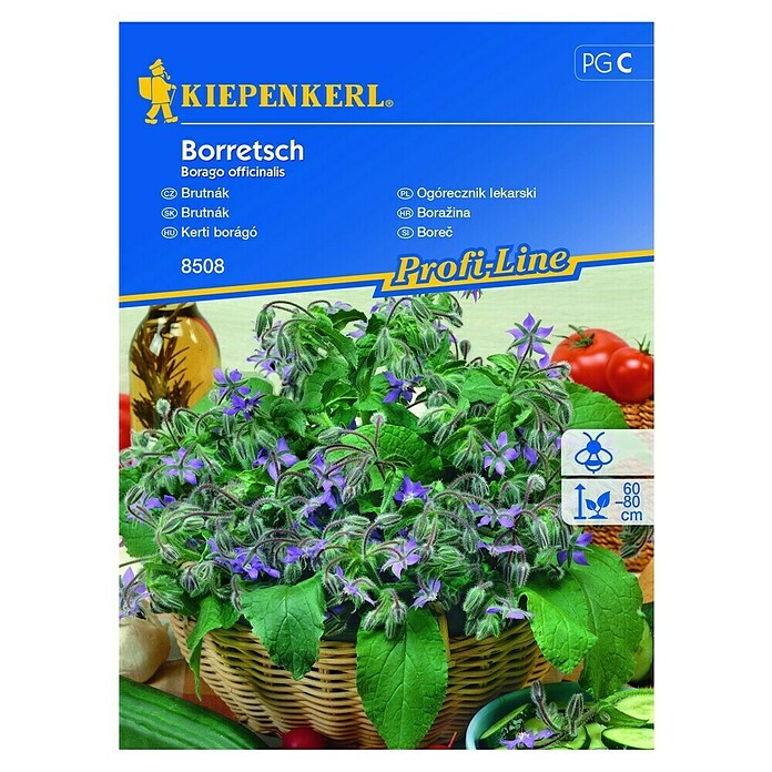 Kiepenkerl Cvetlična semena borage  (Borago officinalis) | 8127 - Feinsämereien in PG Marke | IBYA - Sämereien | IBY - Sämereien | IB - Grünpflanzen/Sämereien | I - Stadtgarten | BAUHAUS