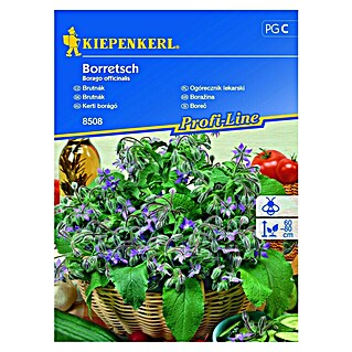 Kiepenkerl Sjeme cvijeća Boražina (Borago officinalis)