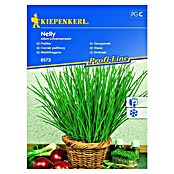 Kiepenkerl Sjeme začinskog bilja Vlasac Nelly  (Allium schoenoprasum, Vrijeme sjetve: Travanj, Berba: Cjelogodišnje) | BAUHAUS
