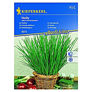Kiepenkerl Zeliščna semena drobnjaka Nelly (Allium schoenoprasum, Čas setve: April, Čas žetve: Vse leto)