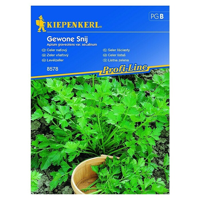 Kiepenkerl Sjeme začinskog bilja Celer listaš Gewone snij  (Apium graveolens var. secalinum, Vrijeme sjetve: Ožujak, Berba: Svibanj) | BAUHAUS