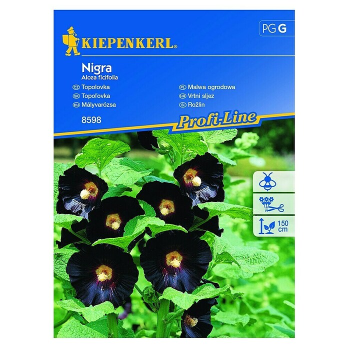 Kiepenkerl Cvetlična semena sleznika sorte Nigra  (Alcea ficifolia) | 8127 - Feinsämereien in PG Marke | IBYA - Sämereien | IBY - Sämereien | IB - Grünpflanzen/Sämereien | I - Stadtgarten | BAUHAUS