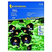 Kiepenkerl Cvetlična semena sleznika sorte Nigra  (Alcea ficifolia) | 8127 - Feinsämereien in PG Marke | IBYA - Sämereien | IBY - Sämereien | IB - Grünpflanzen/Sämereien | I - Stadtgarten | BAUHAUS