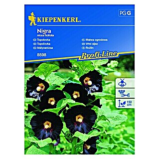 Kiepenkerl Sjeme cvijeća Vrtni sljez Nigra (Alcea ficifolia)