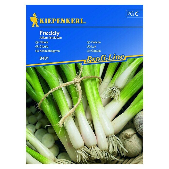 Kiepenkerl Profi-Line Zelenjavna semena Čebula Freddy  (Allium fistulosum) | 8127 - Feinsämereien in PG Marke | IBYA - Sämereien | IBY - Sämereien | IB - Grünpflanzen/Sämereien | I - Stadtgarten | BAUHAUS