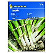 Kiepenkerl Profi-Line Zelenjavna semena Čebula Freddy  (Allium fistulosum) | 8127 - Feinsämereien in PG Marke | IBYA - Sämereien | IBY - Sämereien | IB - Grünpflanzen/Sämereien | I - Stadtgarten | BAUHAUS