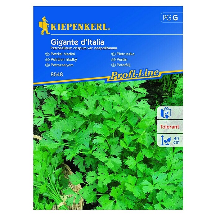 Kiepenkerl Zeliščna semena peteršilja Gigante d'Italia  (Petroselinum crispum var. neapolitanum, Čas setve: Marec, Čas žetve: Junij) | 8127 - Feinsämereien in PG Marke | IBYA - Sämereien | IBY - Sämereien | IB - Grünpflanzen/Sämereien | I - Stadtgarten | BAUHAUS