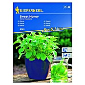 Kiepenkerl Sjeme začinskog bilja Stevia Sweet Honey  (Stevia rebaudiana, Vrijeme sjetve: Veljača, Berba: Srpanj) | BAUHAUS