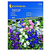 Kiepenkerl Sjeme cvijeća Vrtni zvončić Mix  (Campanula medium, Raznobojno) | BAUHAUS