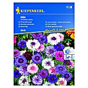 Kiepenkerl Cvetlična semena modrega glavinca  (Centaurea cyanus) | 8127 - Feinsämereien in PG Marke | IBYA - Sämereien | IBY - Sämereien | IB - Grünpflanzen/Sämereien | I - Stadtgarten | BAUHAUS