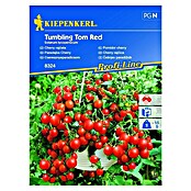 Kiepenkerl Sjeme povrća rajčica Tumbling Tom Red  (Solanum lycopersicum, Berba: Srpanj) | BAUHAUS
