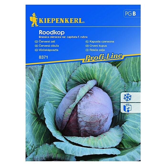 Kiepenkerl Zelenjavna semena rdečega zelja Roodkop  (Brassica oleracea var. capitata f. rubra, Čas žetve: Avgust) | 8127 - Feinsämereien in PG Marke | IBYA - Sämereien | IBY - Sämereien | IB - Grünpflanzen/Sämereien | I - Stadtgarten | BAUHAUS