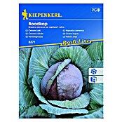 Kiepenkerl Zelenjavna semena rdečega zelja Roodkop  (Brassica oleracea var. capitata f. rubra, Čas žetve: Avgust) | 8127 - Feinsämereien in PG Marke | IBYA - Sämereien | IBY - Sämereien | IB - Grünpflanzen/Sämereien | I - Stadtgarten | BAUHAUS