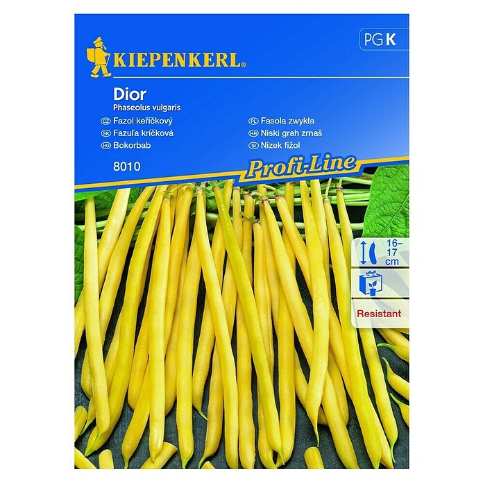 Kiepenkerl Sjeme povrća francuski grah Dior  (Phaseolus vulgaris, Berba: Srpanj) | BAUHAUS