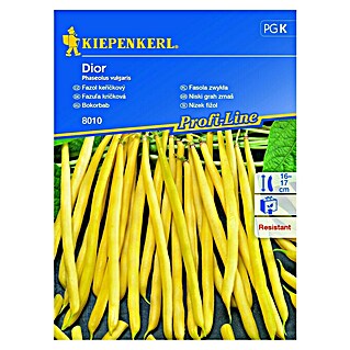 Kiepenkerl Zelenjavna semena graha Dior (Phaseolus vulgaris, Čas žetve: Julij)