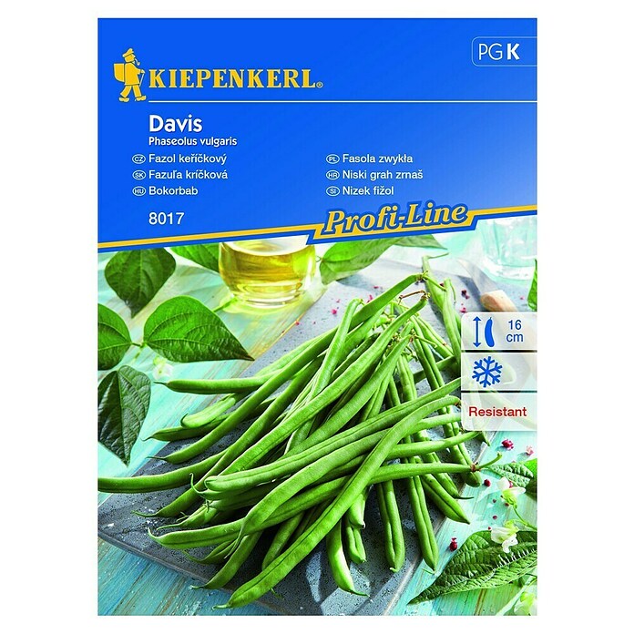 Kiepenkerl Zelenjavna semena graha Davis  (Phaseolus vulgaris, Čas žetve: Julij) | 8127 - Feinsämereien in PG Marke | IBYA - Sämereien | IBY - Sämereien | IB - Grünpflanzen/Sämereien | I - Stadtgarten | BAUHAUS