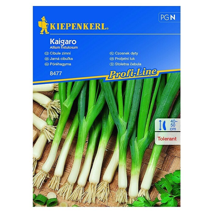 Kiepenkerl Sjeme povrća Proljetni luk Kaigaro  (Allium fistulosum, Berba: Svibanj, 5 m²) | BAUHAUS