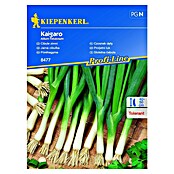 Kiepenkerl Sjeme povrća Proljetni luk Kaigaro  (Allium fistulosum, Berba: Svibanj, 5 m²) | BAUHAUS