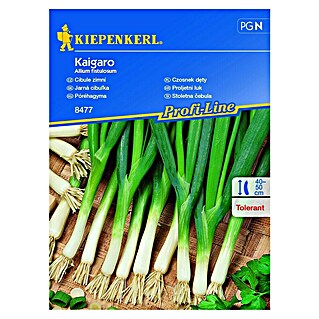Kiepenkerl Sjeme povrća Proljetni luk Kaigaro (Allium fistulosum, Berba: Svibanj, 5 m²)