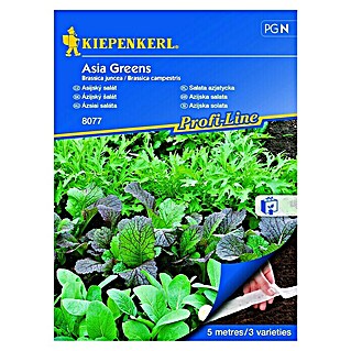 Kiepenkerl Sjeme salate Asia Greens (Brassica juncea/Brassica campestris, Berba: Svibanj)