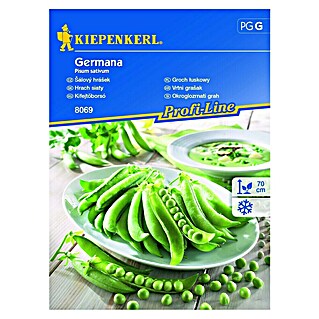 Kiepenkerl Zelenjavna semena graha Germana (Pisum sativum, Čas žetve: Junij)
