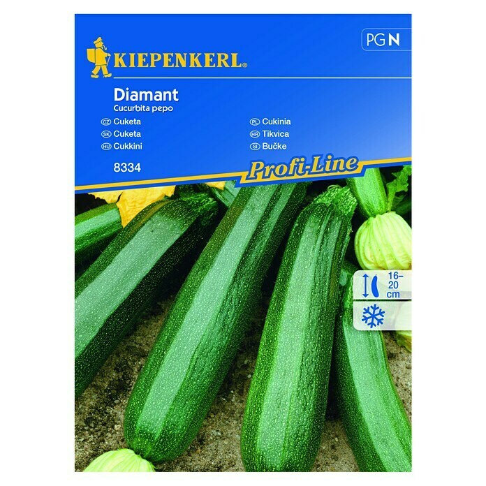 Kiepenkerl Sjeme povrća tikvica Diamant  (Cucurbita pepo, Berba: Lipanj) | BAUHAUS