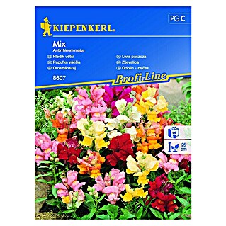 Kiepenkerl Cvetlična semena velikega odolina Mix (Antirrhinum majus, Večbarvno)